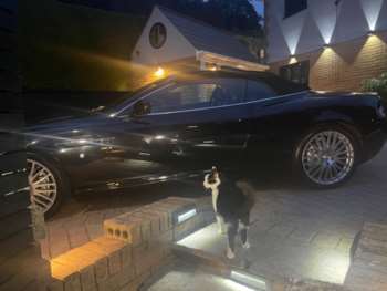 Used Aston Martin DB9 2006 for sale - 71498559: Photo