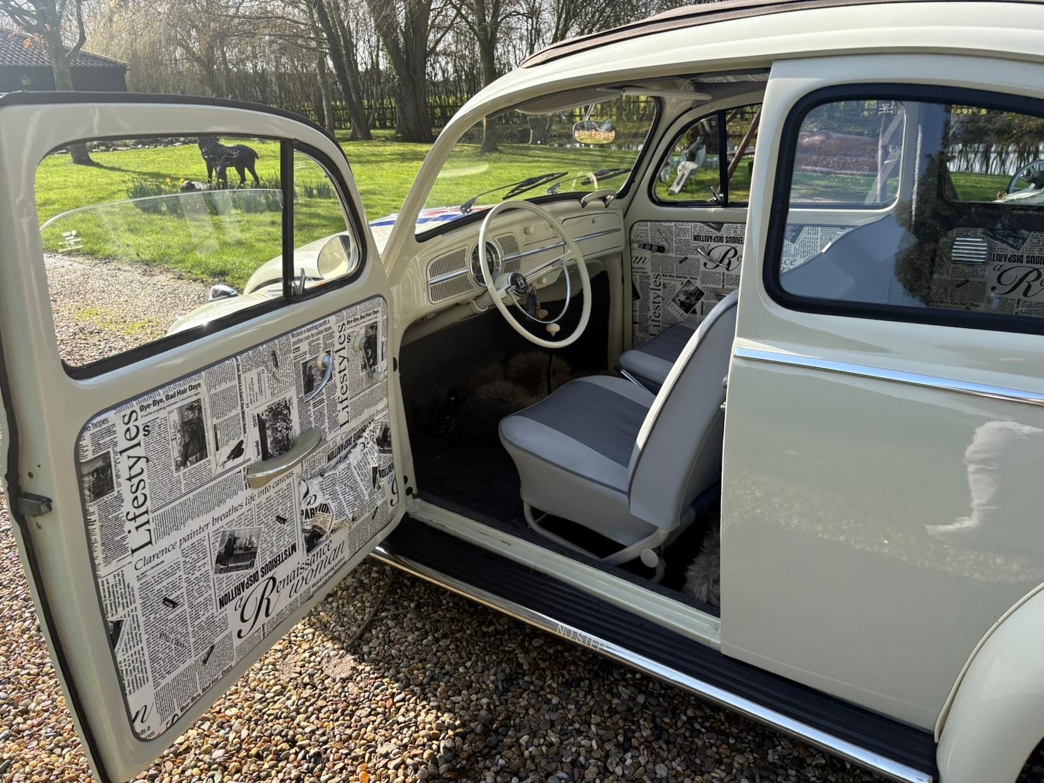 Used Volkswagen Beetle 2001 for sale - 77675281: Photo 5