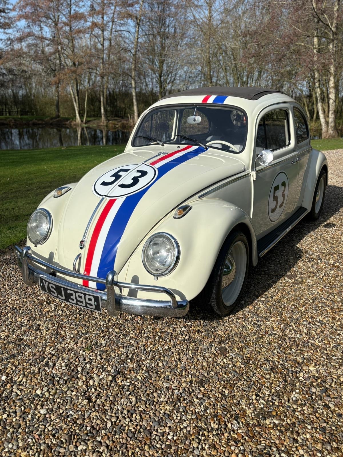 Used Volkswagen Beetle 2001 for sale - 77675281: Photo 6