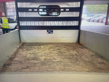 Used Nissan Cabstar 2019 for sale - 79572770: Photo