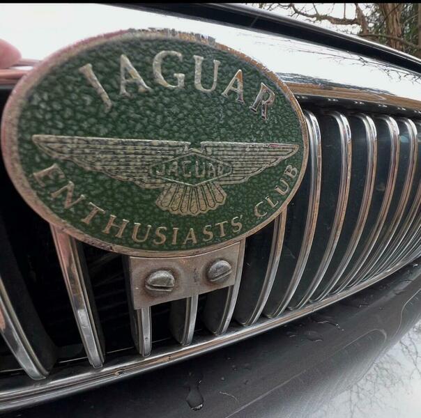 Used Jaguar X-Type 2009 for sale - 77411901: Photo 12