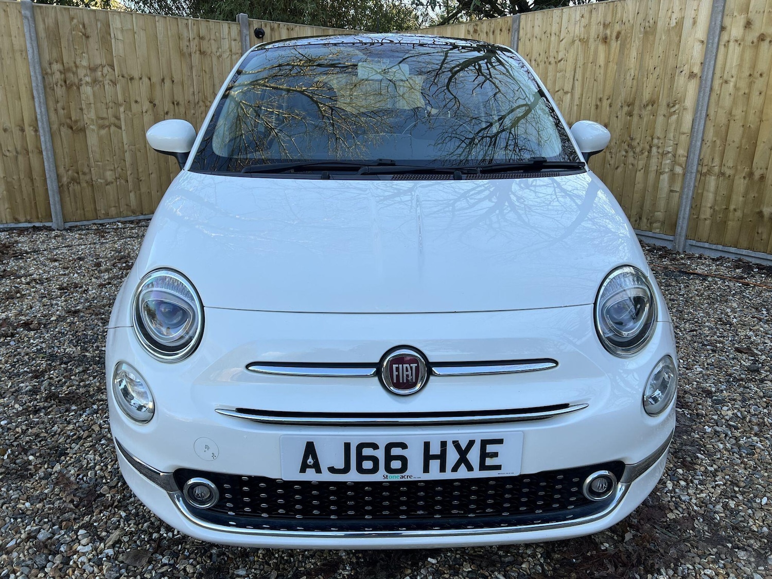Used Fiat 500 2016 for sale - 77097672: Photo 16