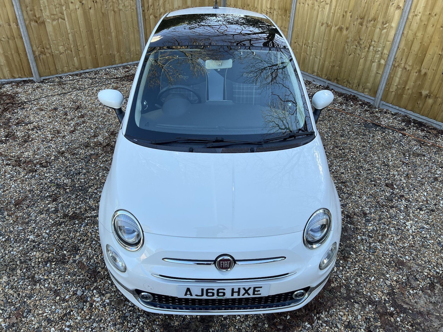 Used Fiat 500 2016 for sale - 77097672: Photo 24