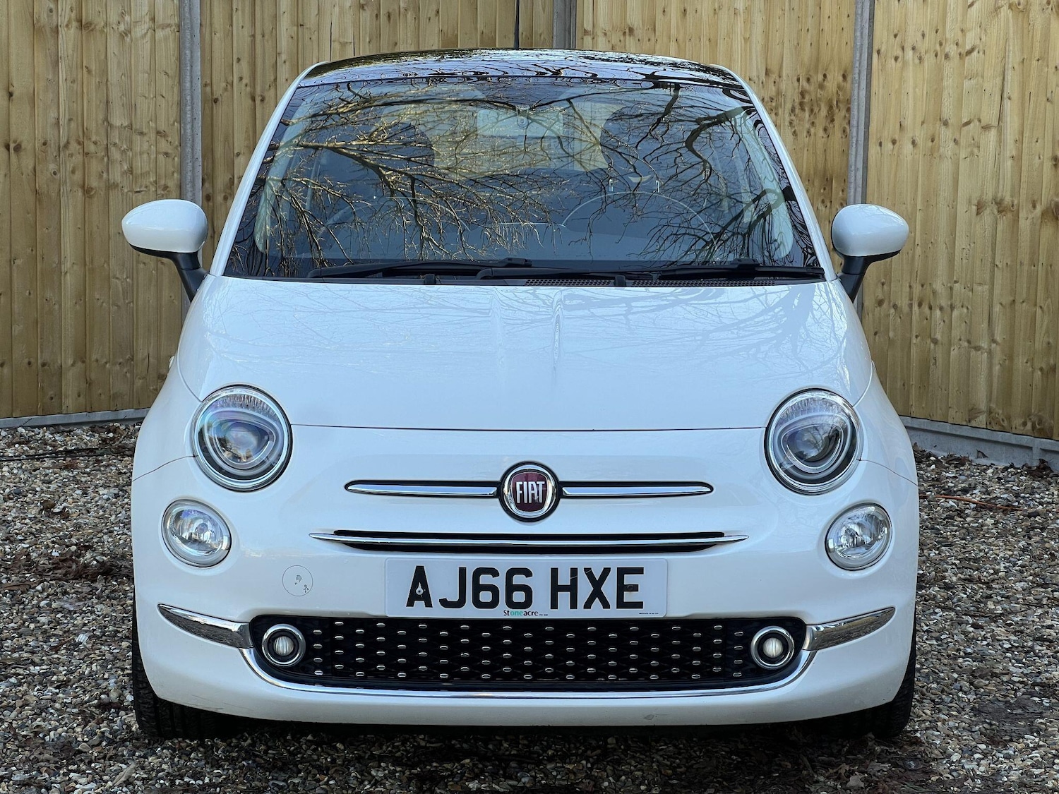 Used Fiat 500 2016 for sale - 77097672: Photo 3
