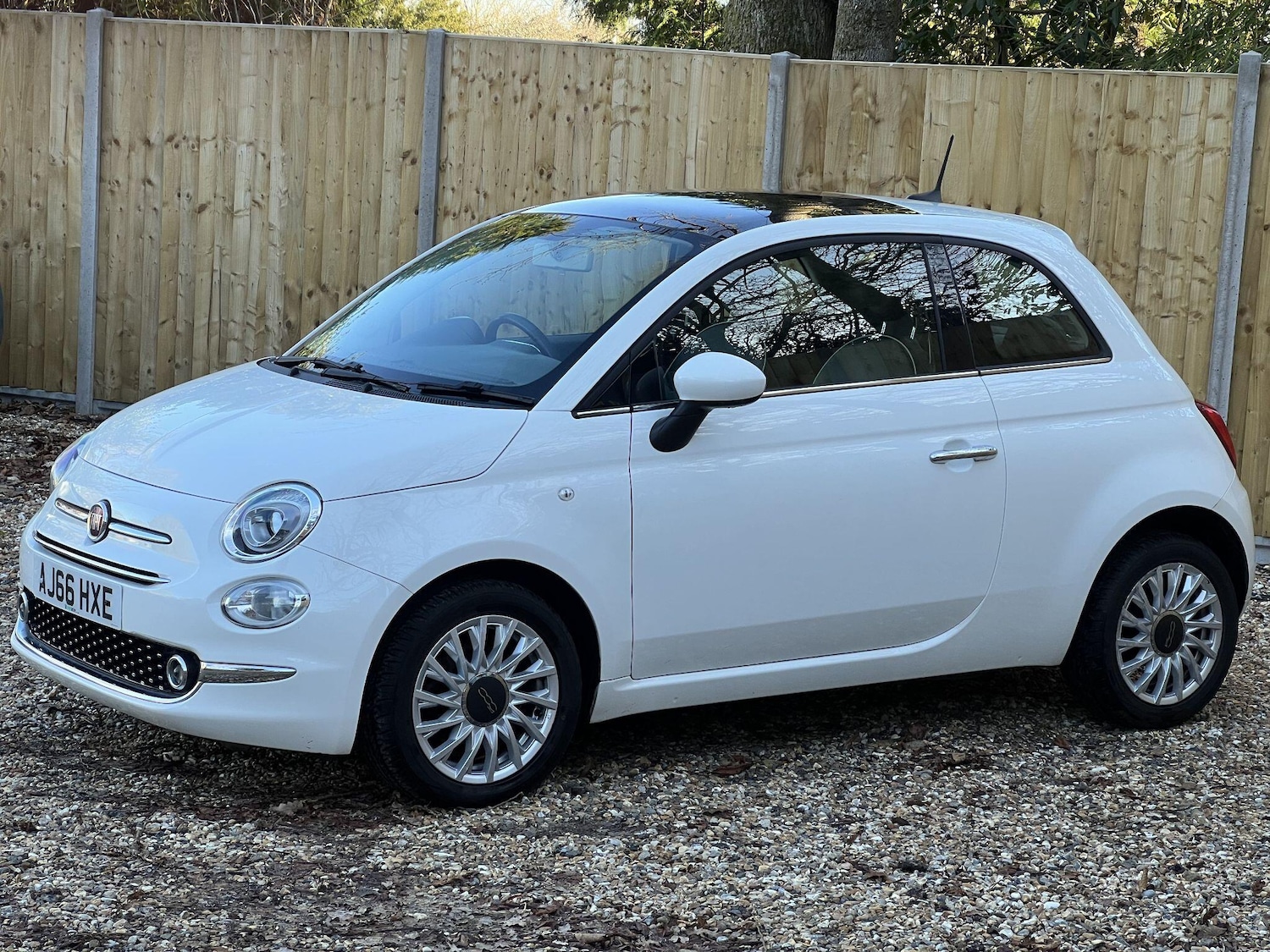 Used Fiat 500 2016 for sale - 77097672: Photo 5