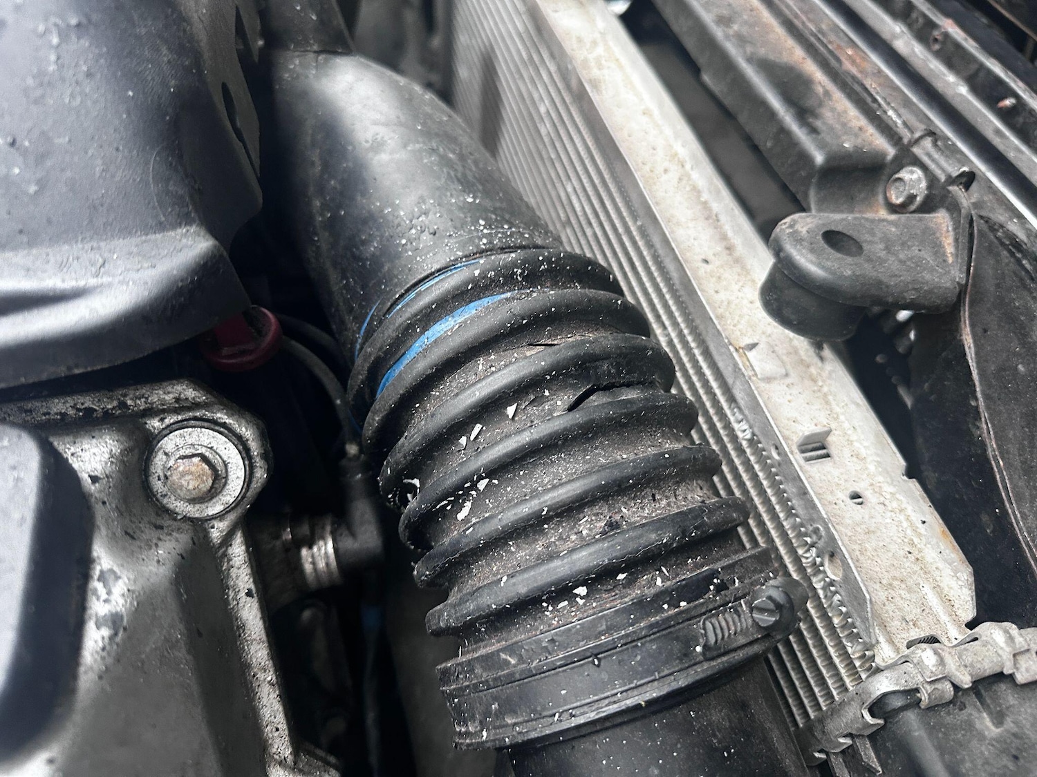 Used BMW 3 Series for sale - 77523987: Photo 13