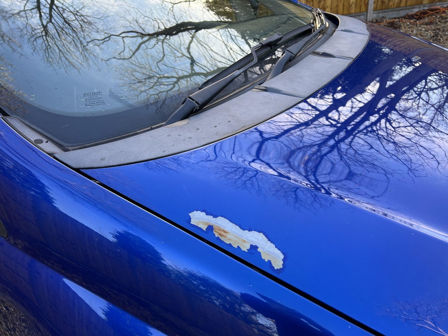 Used Fiat Grande Punto 2006 for sale - 77203761: Photo 14