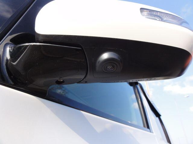 Used Toyota Alphard for sale - 77768429: Photo 33