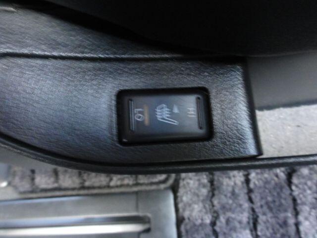 Used Nissan Elgrand 2025 for sale - 77537489: Photo 19