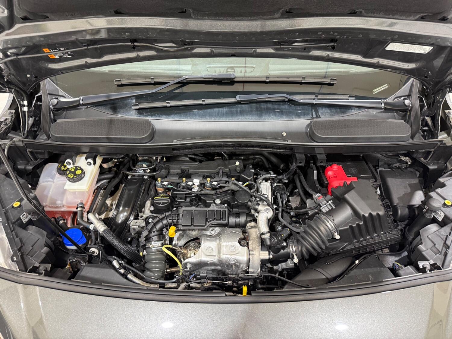 Used Ford Transit Connect 2024 for sale - 76252501: Photo 31