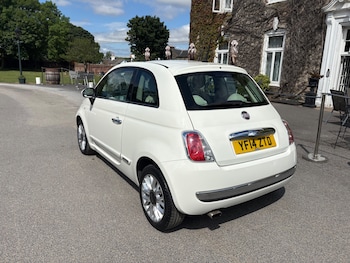 Used Fiat 500 2014 for sale - 79151429: Photo