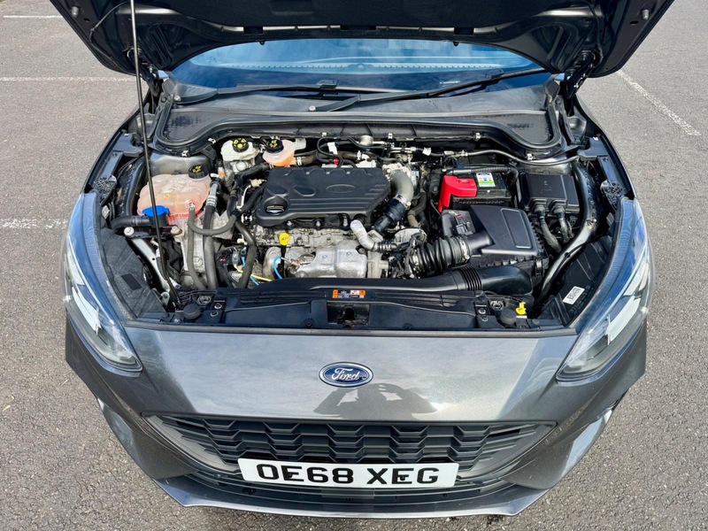 Used Ford Focus 2019 for sale - 78031283: Photo 25