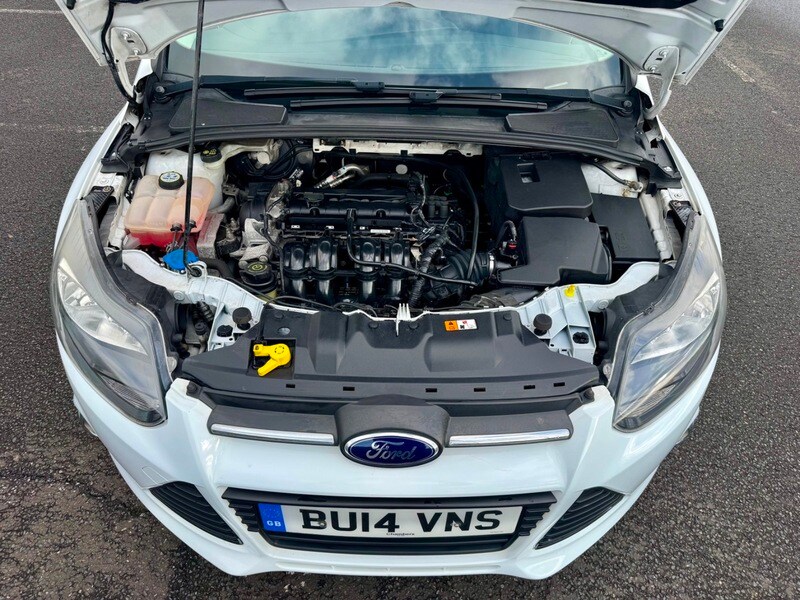 Used Ford Focus 2014 for sale - 77693996: Photo 22