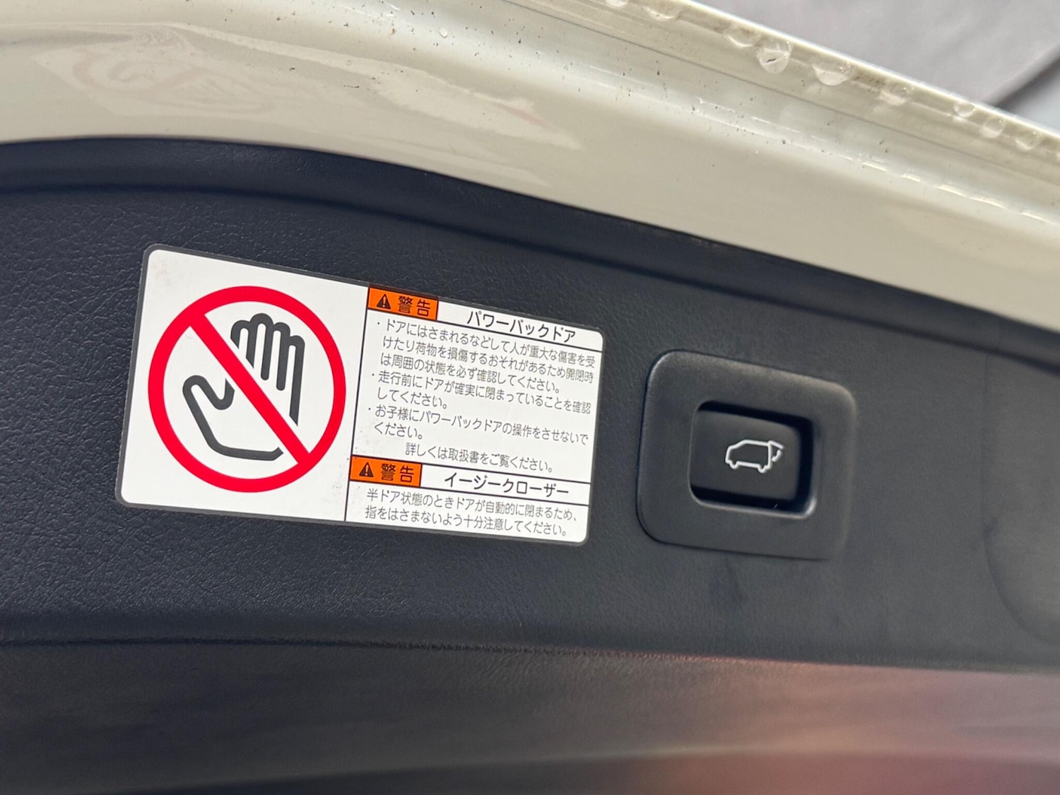 Used Toyota Alphard for sale - 77267429: Photo 51