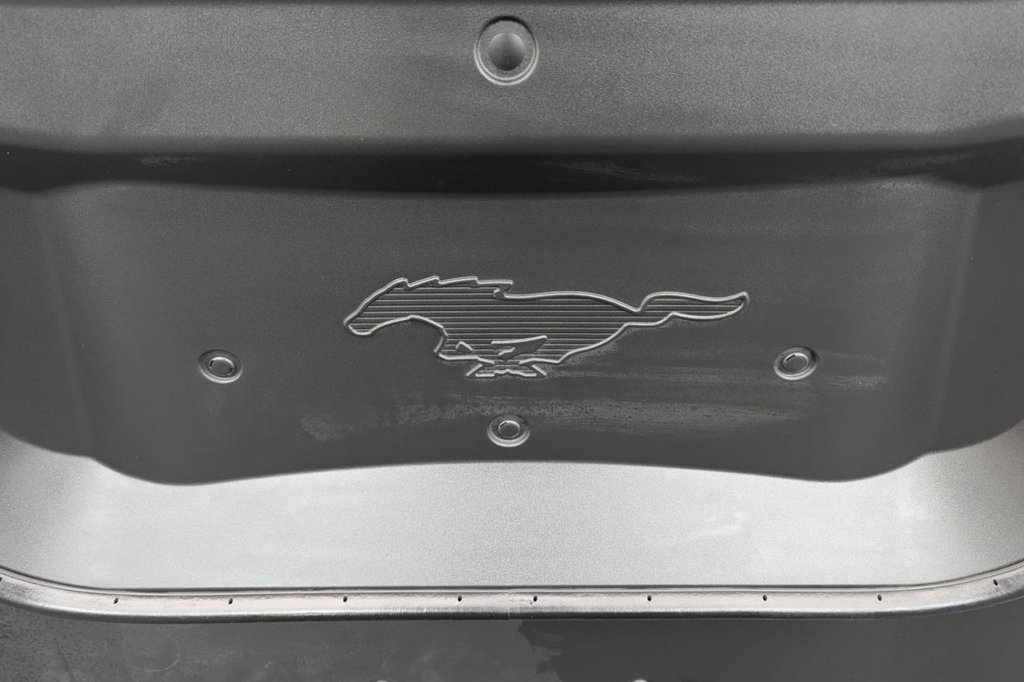 Used Ford Mustang Mach-E 2021 for sale - 77211891: Photo 20