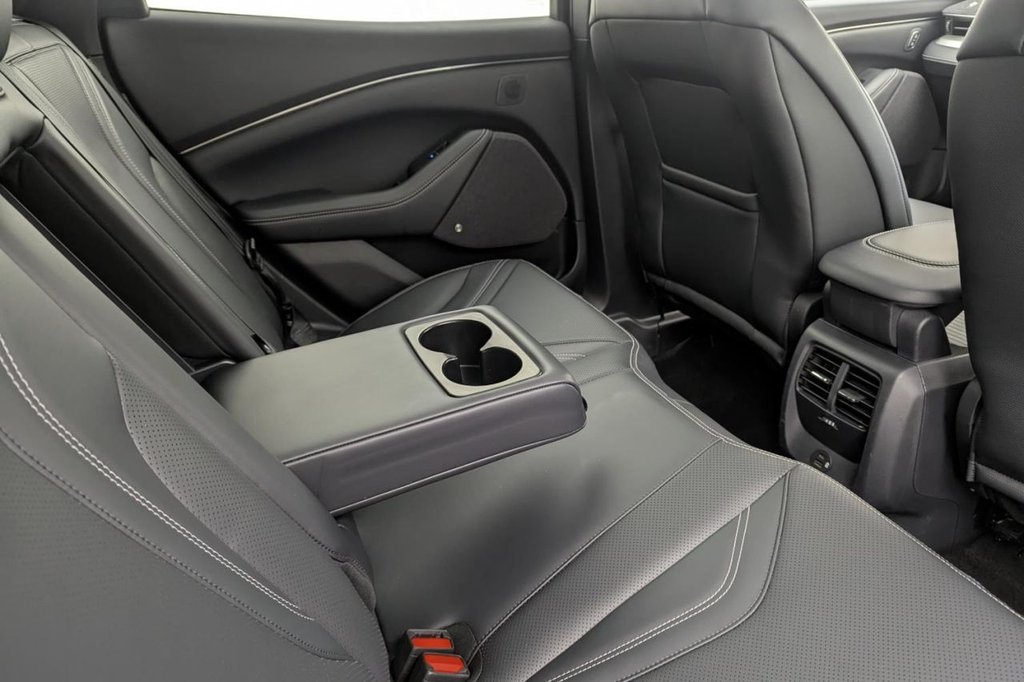 Used Ford Mustang Mach-E 2022 for sale - 77212410: Photo 18