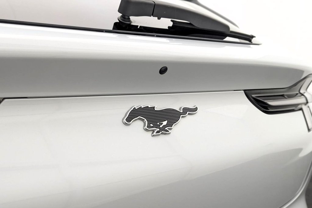 Used Ford Mustang Mach-E 2022 for sale - 77212410: Photo 47