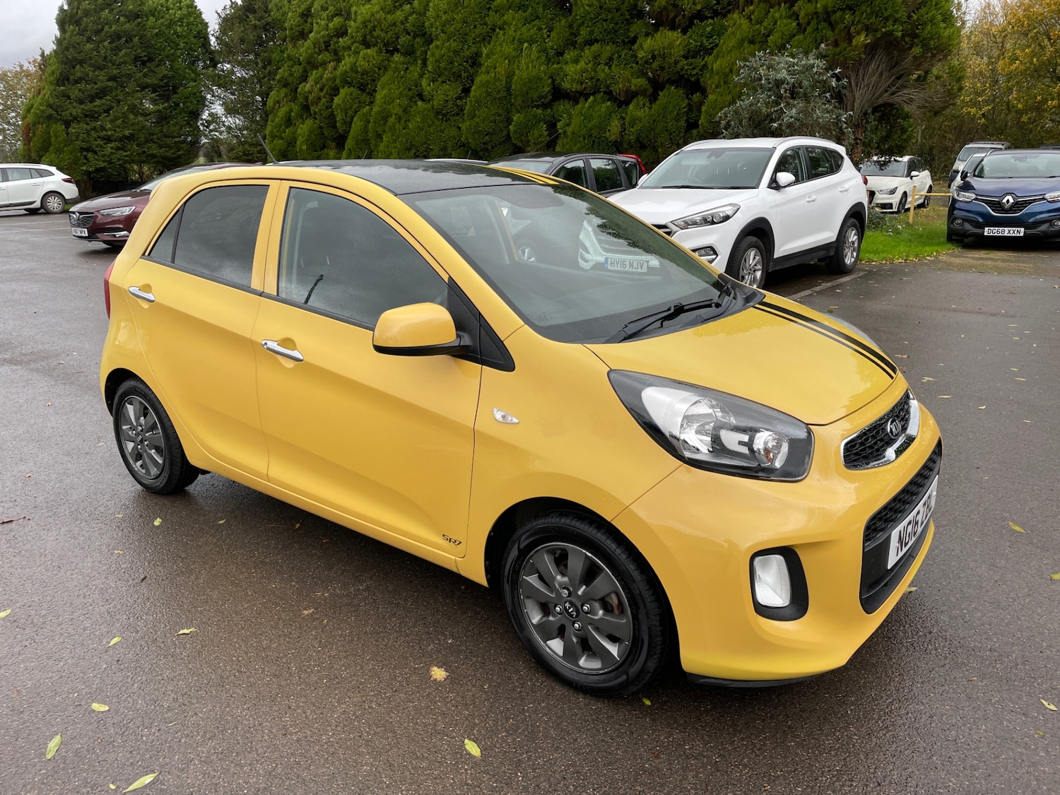 Used Kia Picanto 2016 for sale - 76383420: Photo 1