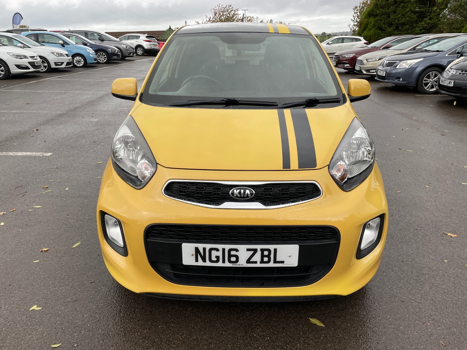 Used Kia Picanto 2016 for sale - 76383420: Photo 9