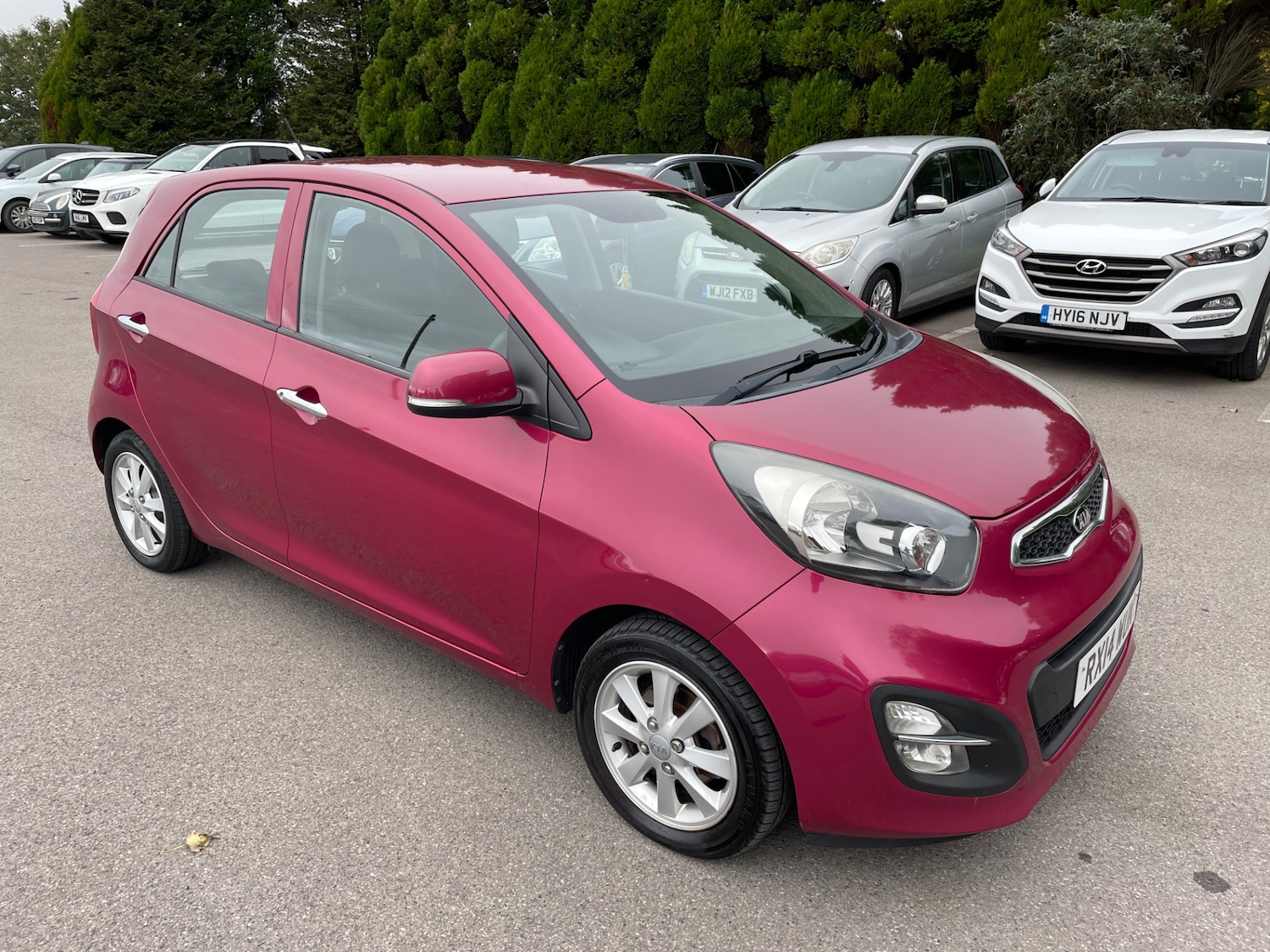 Used Kia Picanto 2014 for sale - 76104446: Photo 1