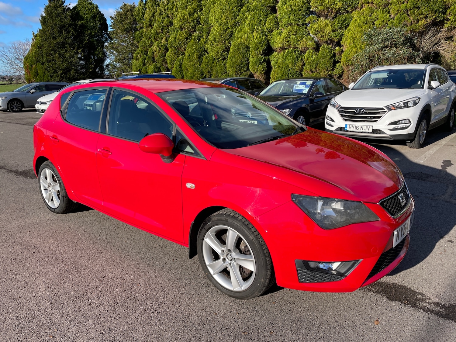 Used SEAT Ibiza 2014 for sale - 76693572: Photo 1