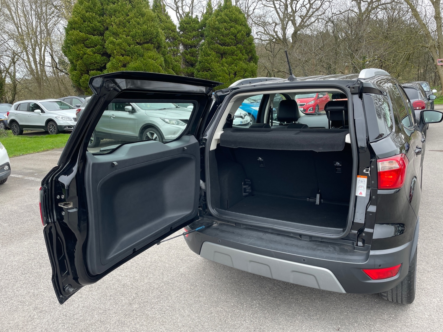 Used Ford Ecosport 2018 for sale - 77916066: Photo 5