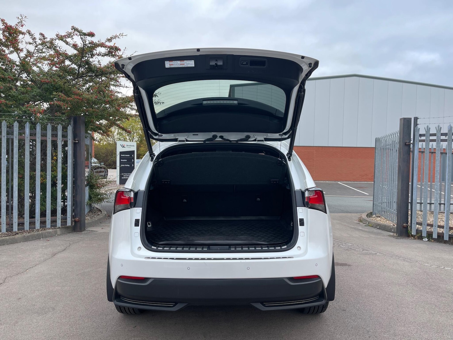 Used Lexus NX 2017 for sale - 76284172: Photo 76