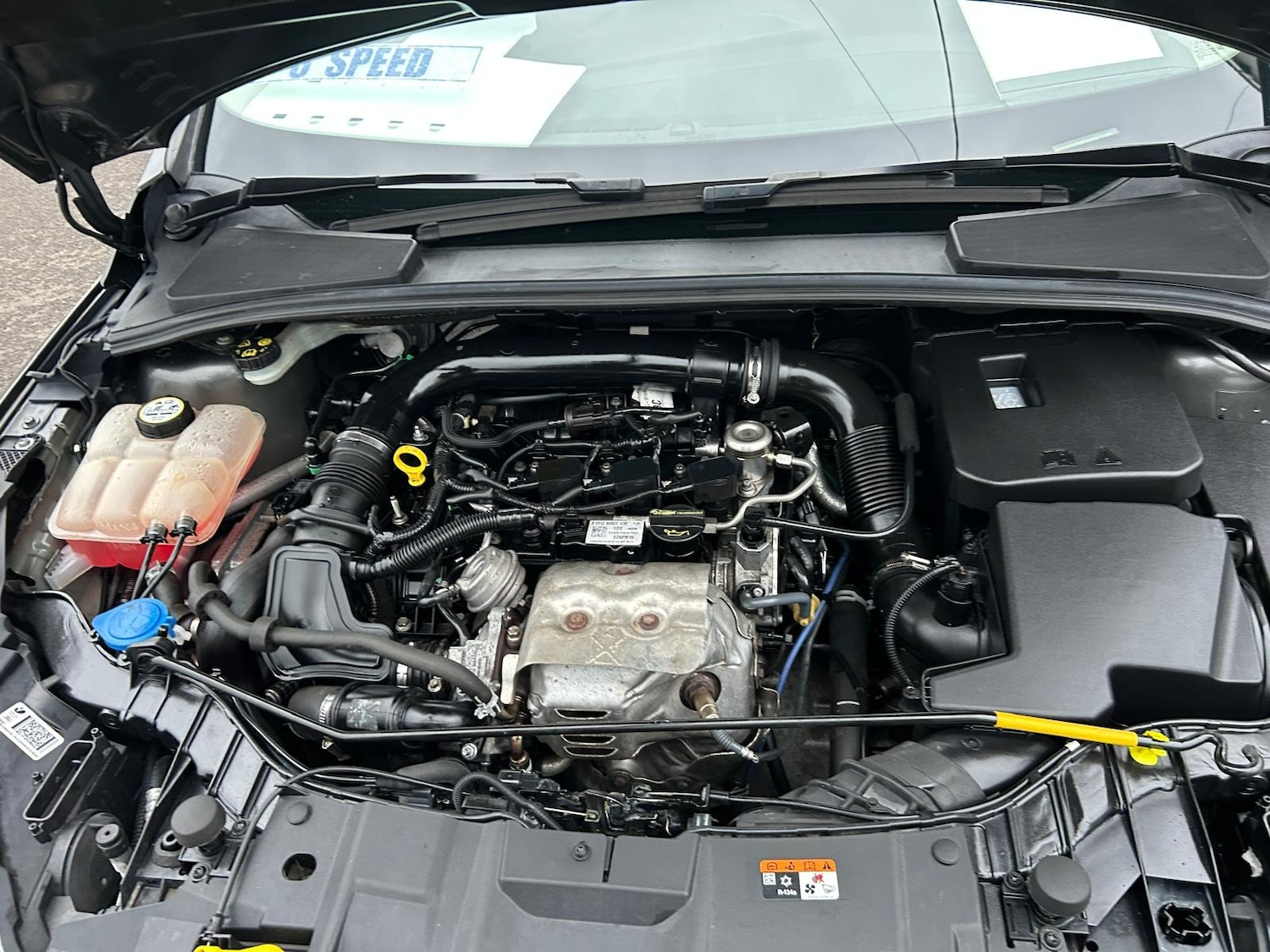 Used Ford Focus 2016 for sale - 77378464: Photo 18