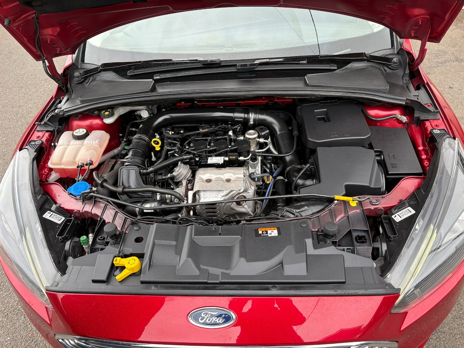 Used Ford Focus 2017 for sale - 76273185: Photo 17