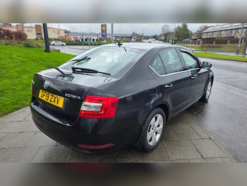 Used Skoda Octavia 2019 for sale - 76945400: Photo