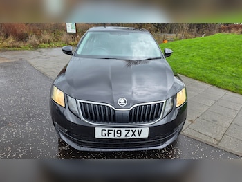 Used Skoda Octavia 2019 for sale - 76878398: Photo