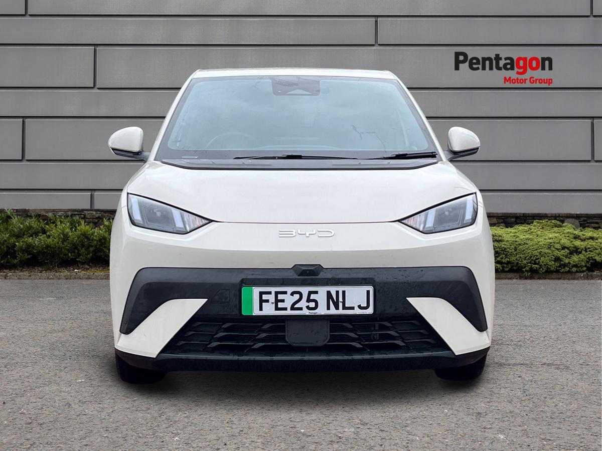 Used BYD Dolphin 2025 for sale - 75679738: Photo 15