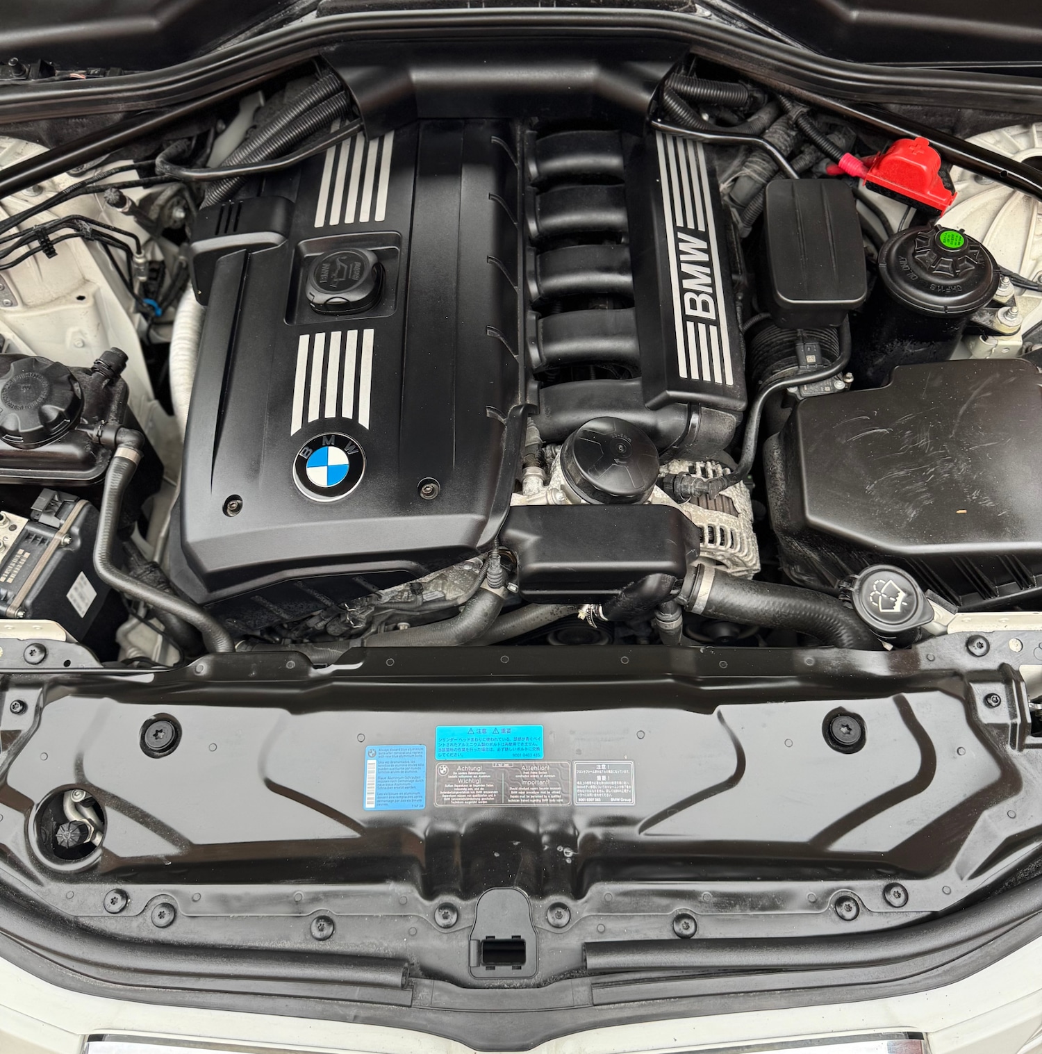 Used BMW 5 Series 2008 for sale - 77019953: Photo 12