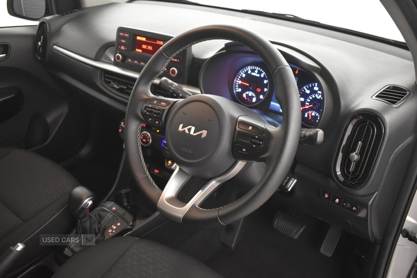 Used Kia Picanto 2023 for sale - 77021684: Photo 3