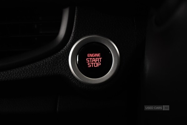 Used Kia Picanto 2025 for sale - 77970923: Photo 14