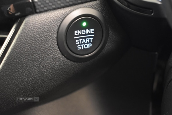 Used Ford Kuga 2024 for sale - 76646893: Photo 16