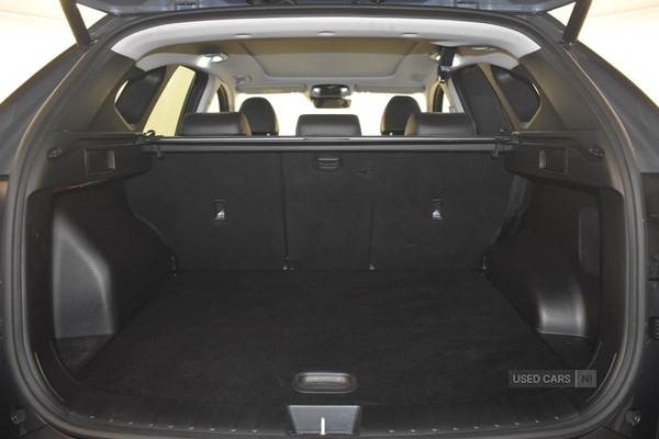 Used Hyundai TUCSON 2023 for sale - 77426799: Photo 40