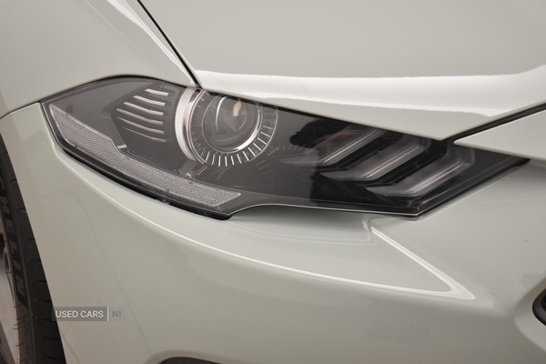 Used Ford Mustang 2022 for sale - 77102204: Photo 10