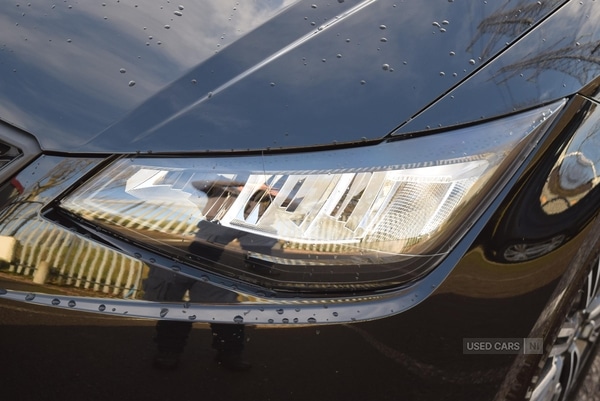 Used SEAT Ibiza 2025 for sale - 77102403: Photo 9