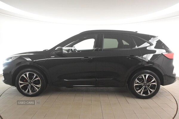 Used Ford Kuga 2023 for sale - 76585654: Photo 6