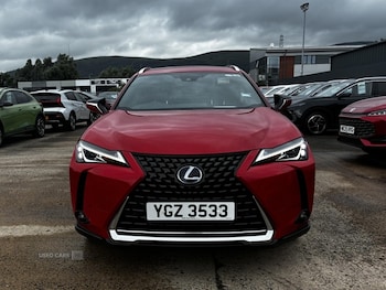 Used Lexus UX 2020 for sale - 79063137: Photo
