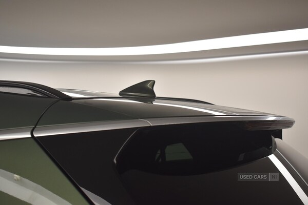 Used Kia Sportage 2025 for sale - 77469759: Photo 44