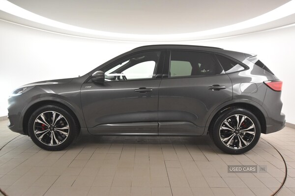 Used Ford Kuga 2023 for sale - 76359119: Photo 6