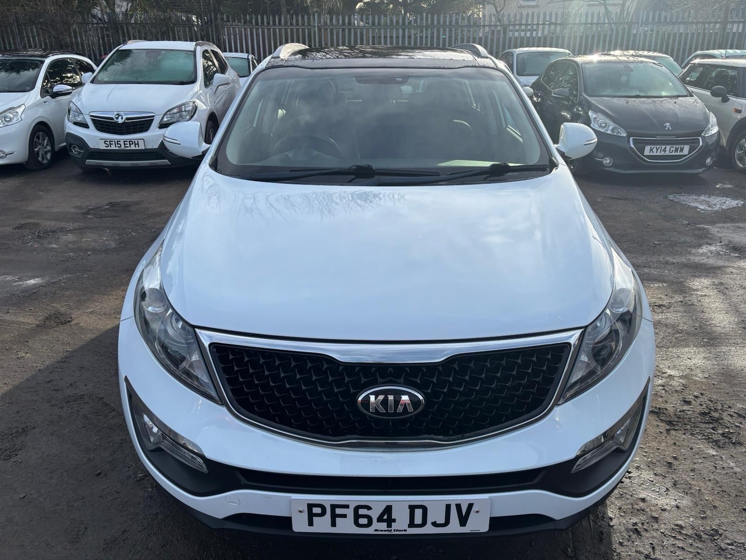 Used Kia Sportage 2014 for sale - 77581718: Photo 3