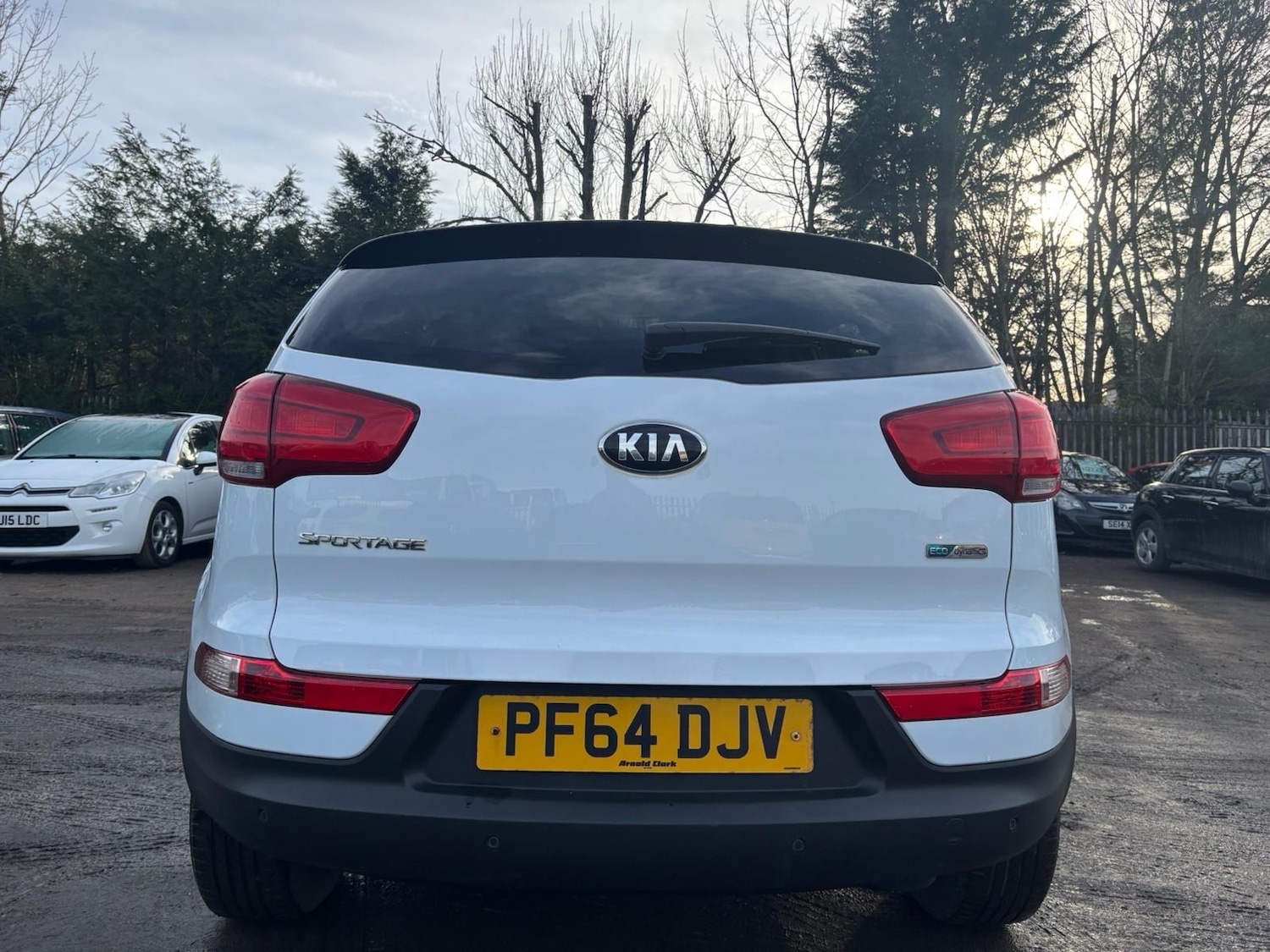 Used Kia Sportage 2014 for sale - 77581718: Photo 8