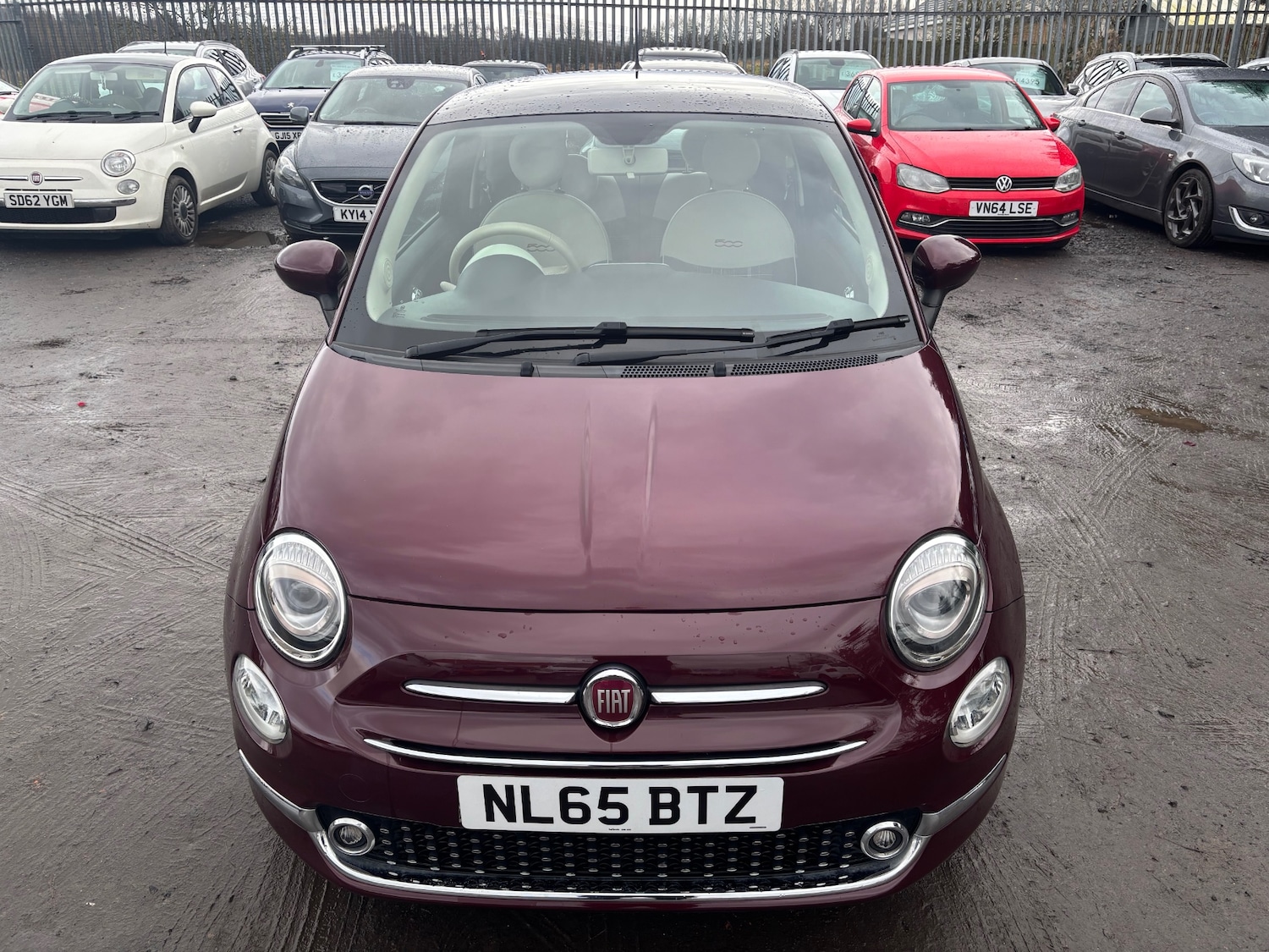 Used Fiat 500 2015 for sale - 77023579: Photo 3