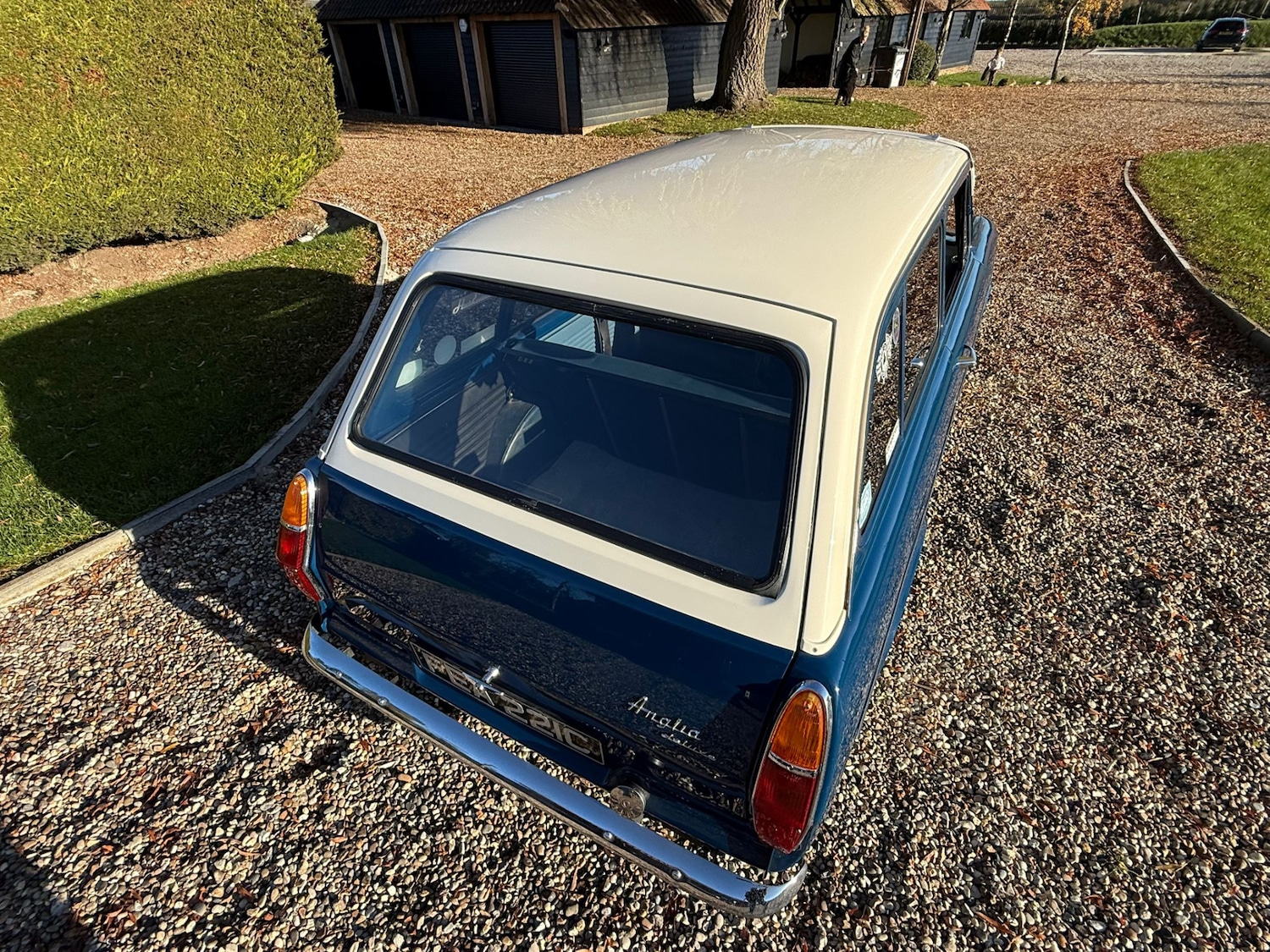 Used Ford Anglia 1965 for sale - 76735773: Photo 7