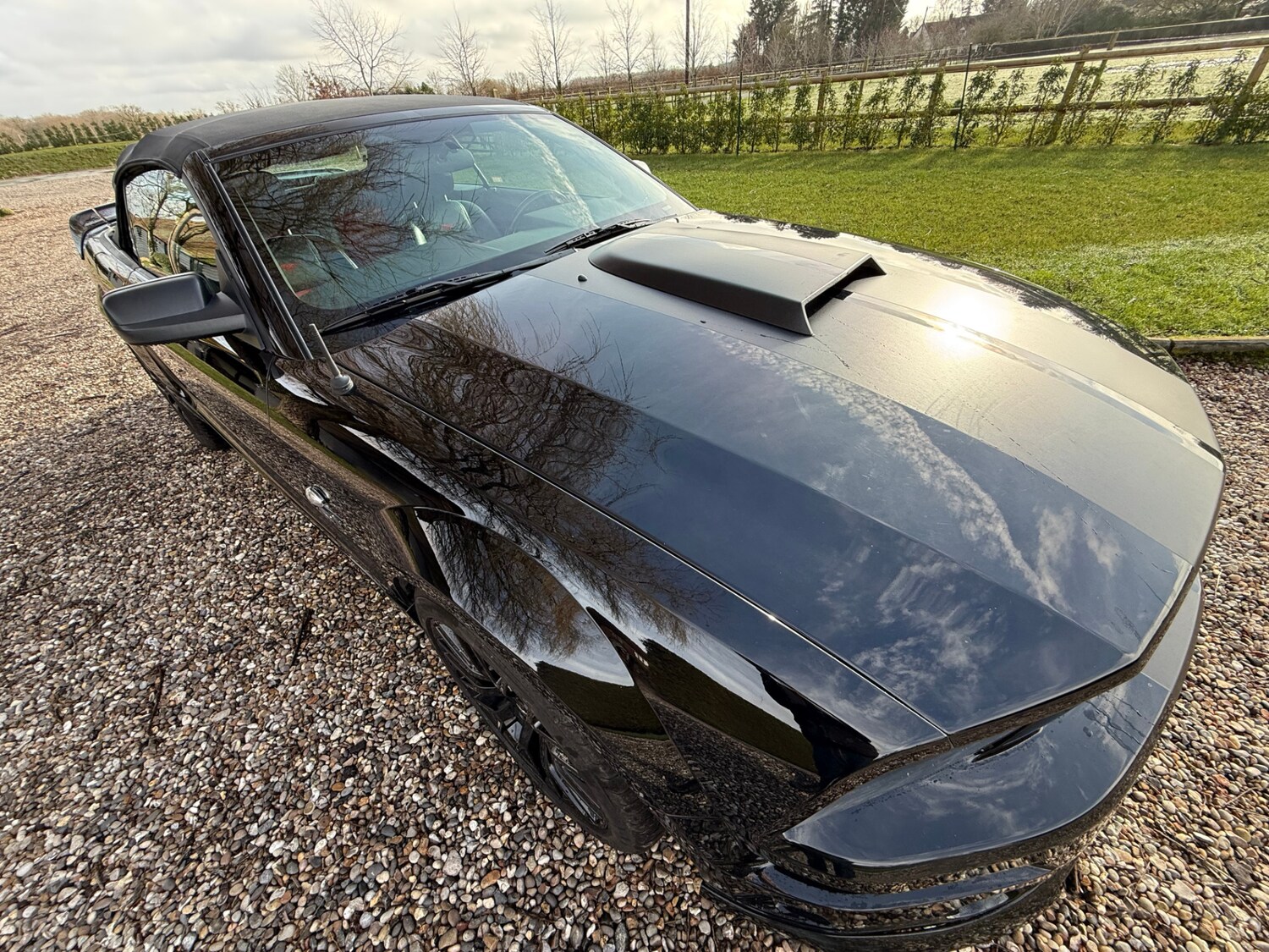 Used Ford Mustang 2007 for sale - 77482506: Photo 14
