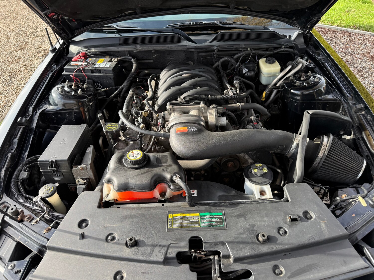 Used Ford Mustang 2007 for sale - 77482506: Photo 38