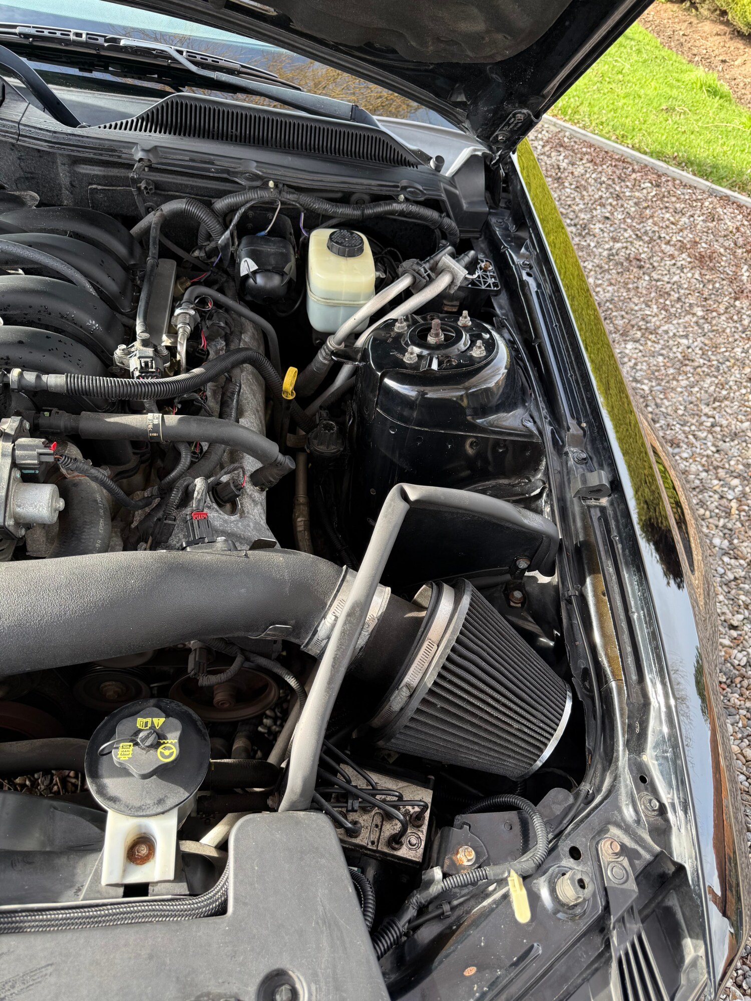 Used Ford Mustang 2007 for sale - 77482506: Photo 39